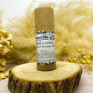 Baume à lévres stick